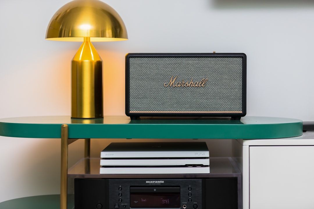 whole home audio speaker system