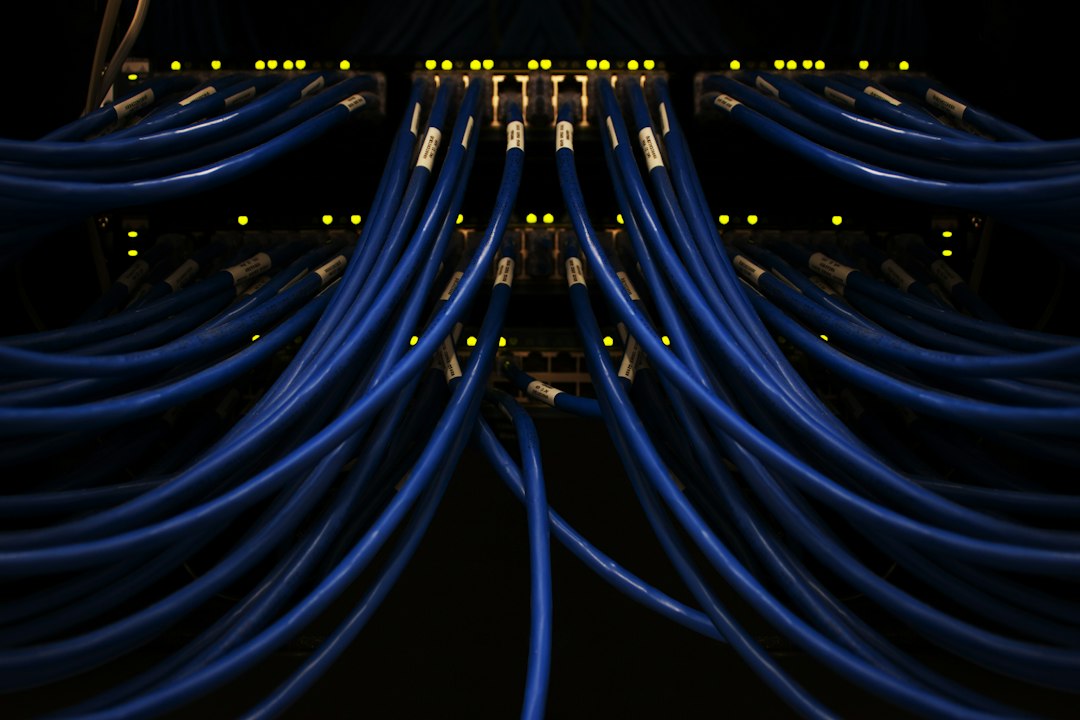 Network Cables and Switch for VLAN and Subnet Segmentation